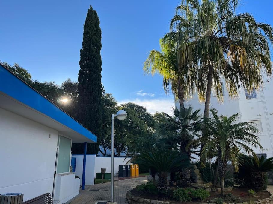 Apartamento En Costa Ballena, Urb. Playa Ballena Cadiz Dış mekan fotoğraf
