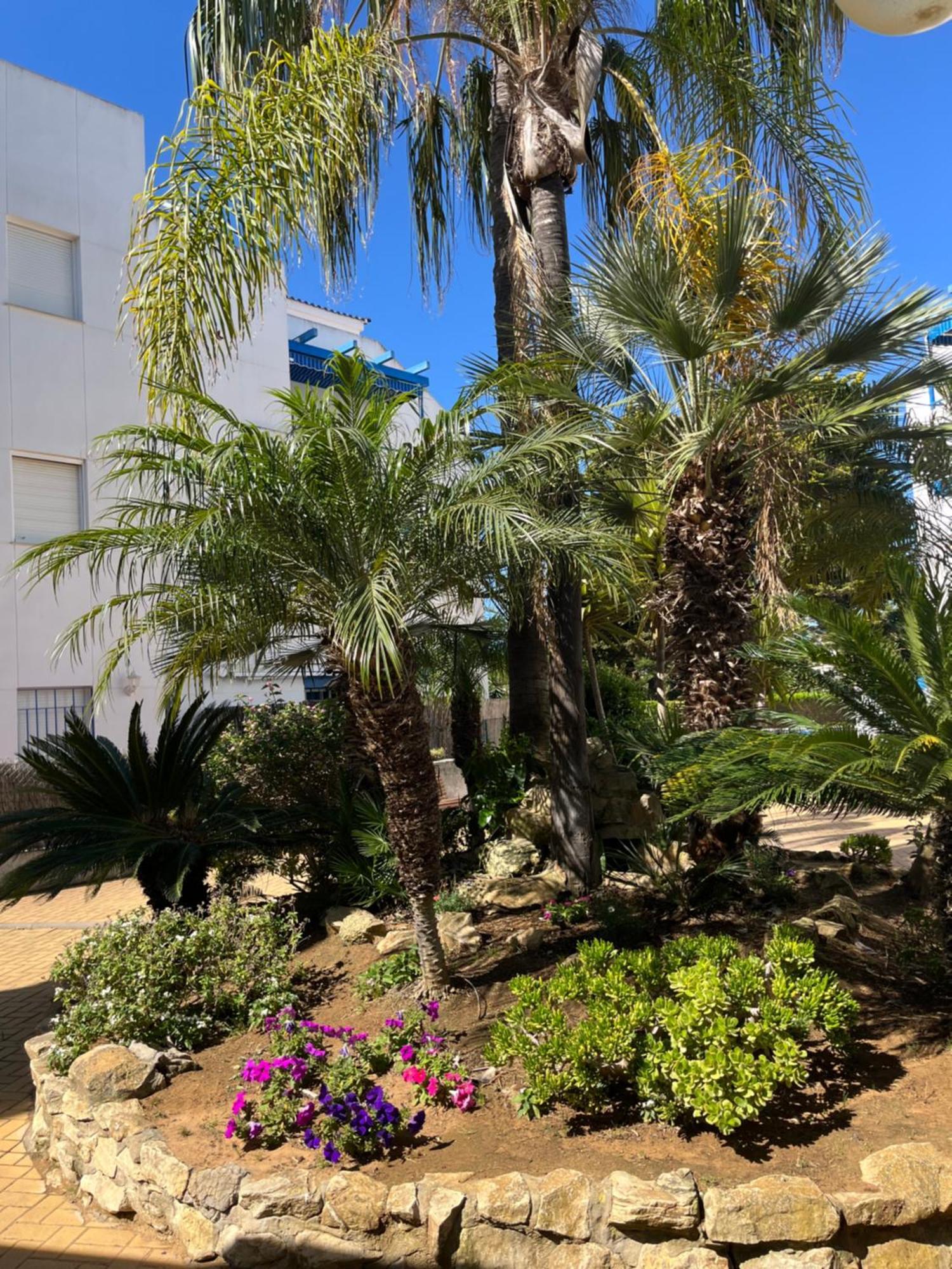 Apartamento En Costa Ballena, Urb. Playa Ballena Cadiz Dış mekan fotoğraf